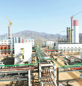 Energy saving and emission reduction project of Shandong Yangmei Hengtong Chemical Co., Ltd